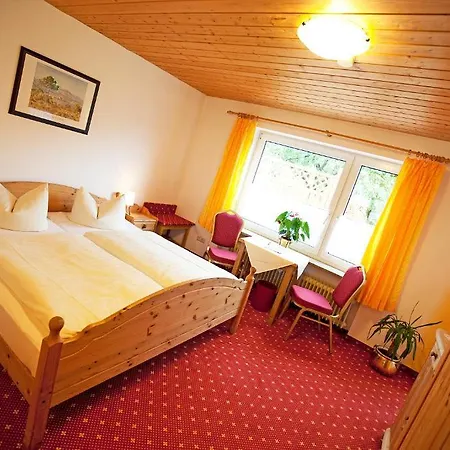 Hotel Alpenhotel 3*
