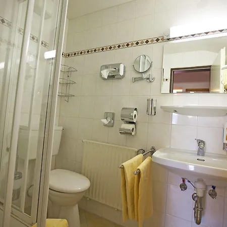 Hotel Alpenhotel 3*
