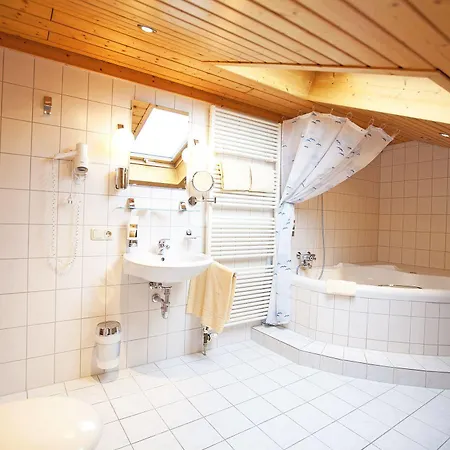 Hotel Alpenhotel Ohlstadt