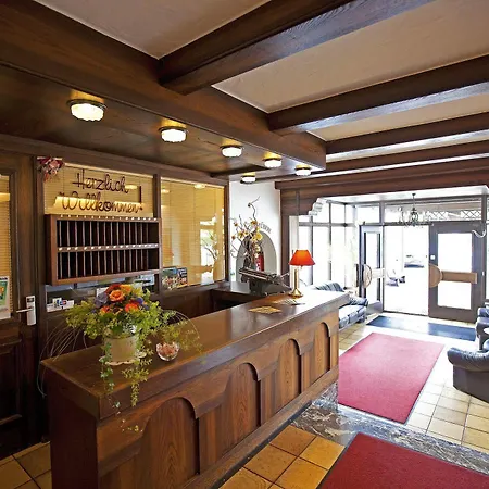 Hotel Alpenhotel 3*