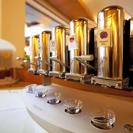 Alpenhotel 3* Ohlstadt